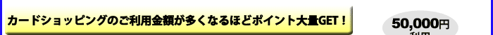 ���Ȃ�y�V�X�[�p�[�|�C���g����Ȃ�4�{GET!