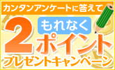 ライフスタイルアンケート