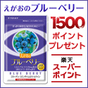 えがおブルーベリー