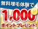 まずはクイズに参加してもれなく5ポイント！