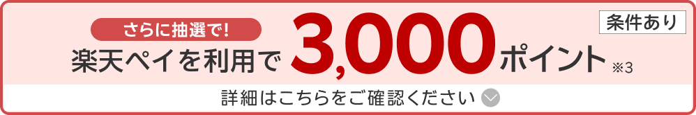 さらに抽選で！楽天ペイ利用で3,000ポイント