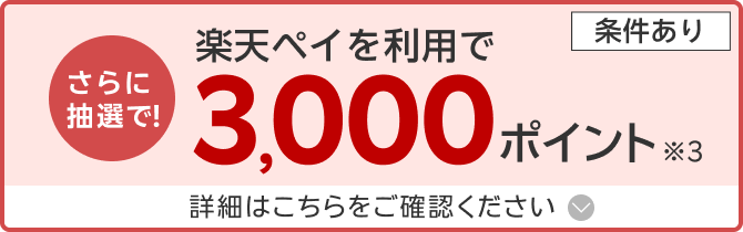 さらに抽選で！楽天ペイ利用で3,000ポイント