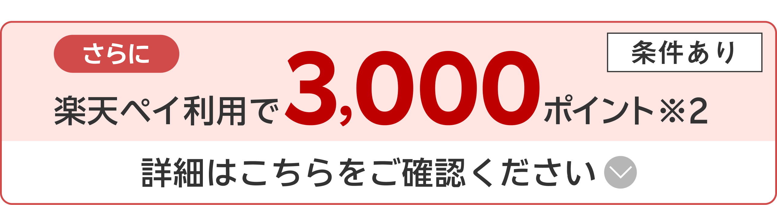 さらに楽天ペイ利用でポイント進呈