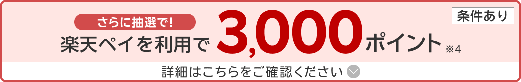 さらに楽天ペイ利用でポイント進呈