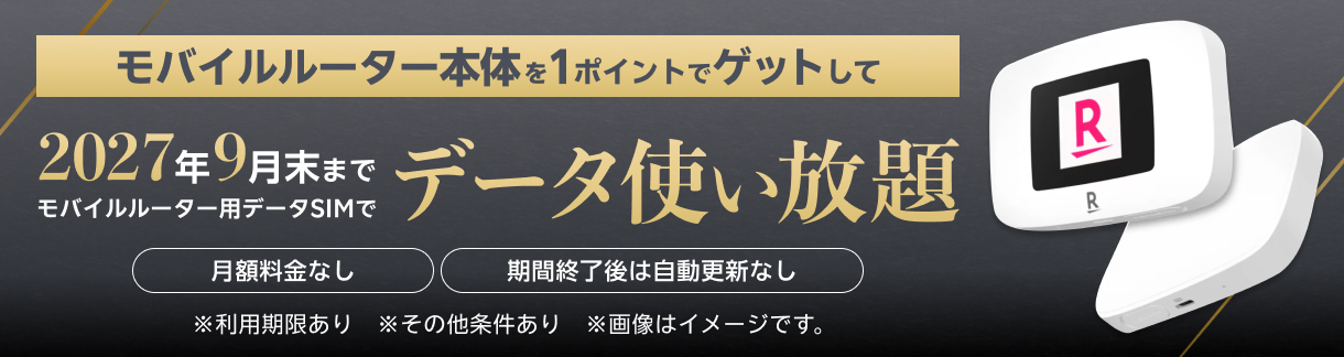 モバイルルーター本体を1ポイントでゲットして2027年9月末までモバイルルーター用データSIMでデータ使い放題