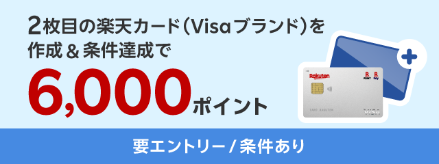 2枚目の楽天カード(Visaブランド)を作成&10,000円以上利用で6,000ポイント