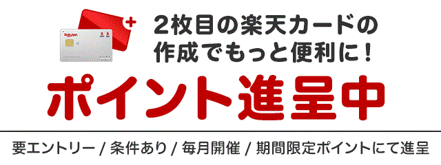 2枚目の楽天カードを作成＆条件達成でポイント進呈