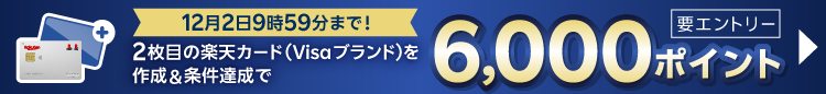 12月2日9時59分まで！ 2枚目の楽天カード（Visaブランド）を作成&条件達成で6,000ポイント 【要エントリー】