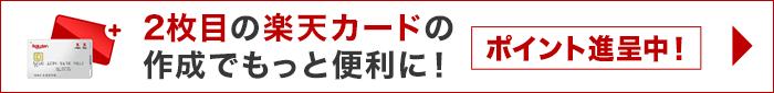 2枚目の楽天カードを作成＆利用でポイントプレゼント