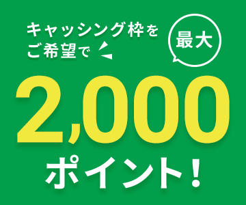 キャッシング枠をご希望で最大2,000ポイント!