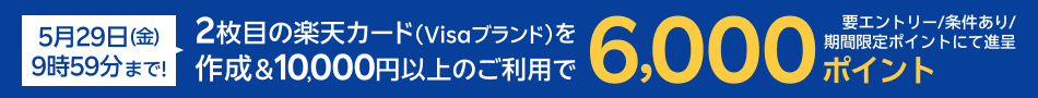 2枚目の楽天カード（Visaブランド）を作成＆10,000円以上のご利用で6,000ポイント