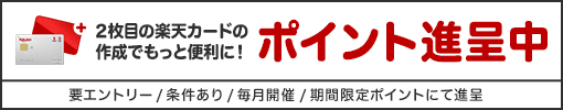 2枚目の楽天カードを作成＆利用でもれなく1,000ポイント要エントリー/条件あり/毎月開催/期間限定ポイントにて進呈