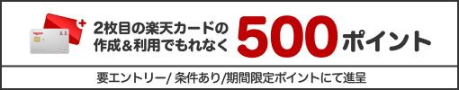 2枚目の楽天カードを作成＆ご利用で500ポイント