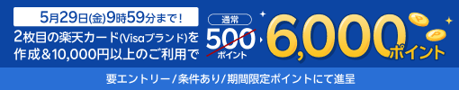 2枚目の楽天カード（Visaブランド）を作成＆10,000円以上のご利用で6,000ポイント