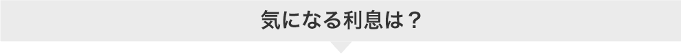 気になる利息は?