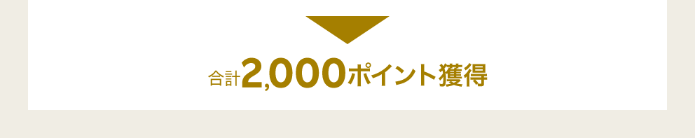 合計2,000ポイント獲得