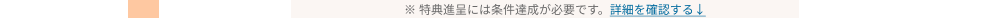 ※特典進呈には条件達成が必要です。詳細を確認する
