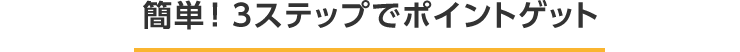 簡単!3ステップでポイントゲット