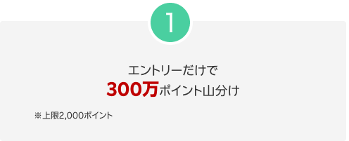 1.エントリーだけで300万ポイント山分け ※上限2,000ポイント