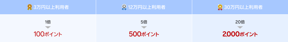【3万円以上利用者 1倍 100ポイント】【12万円以上利用者 5倍 500ポイント】【30万円以上利用者 20倍 2,000ポイント】