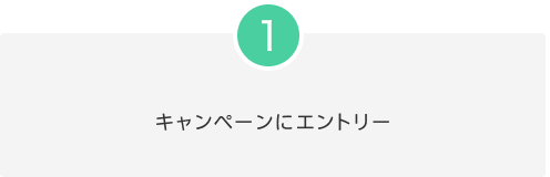 1 キャンペーンにエントリー