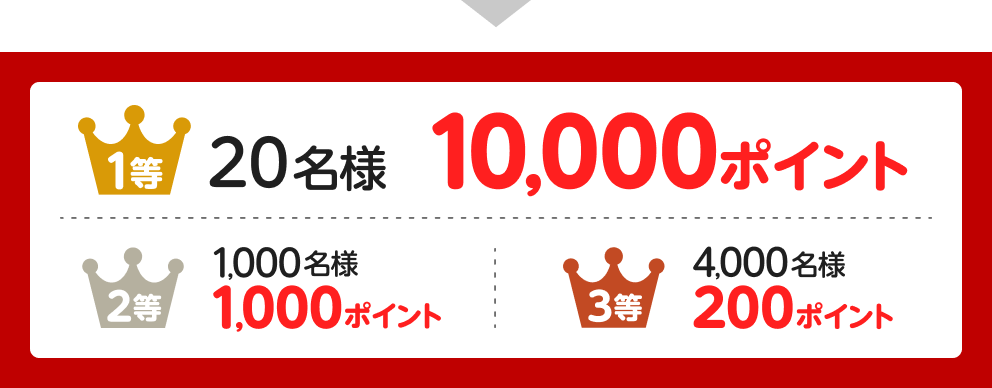 1等20名様10,000ポイント 2等1,000名様1,000ポイント 3等4,000名様200ポイント