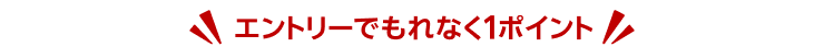 エントリーでもれなく1ポイント