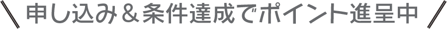 申し込み条件達成でポイント進呈中