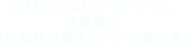 オリジナルバッグチャーム 進呈条件 （2枚目の楽天カード作成の方）