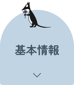 基本情報