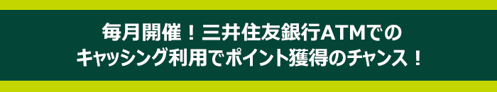 キャッシングをご利用すると抽選で2 000ポイント 楽天カード