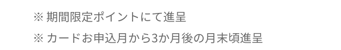 ※期間限定ポイントにて進呈 ※カードお申込月から3か月後の月末頃進呈