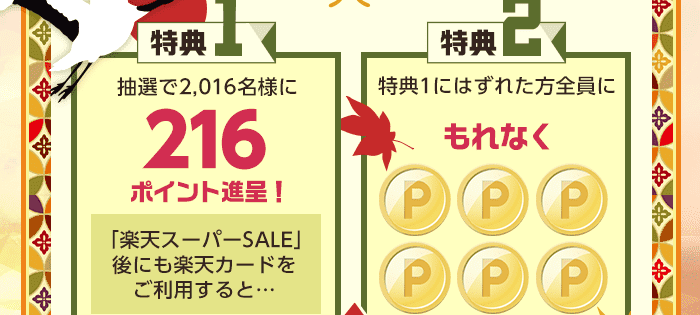 楽天カード 最大2 016ポイントのチャンス 楽天カード 最大2 016ポイントのチャンス