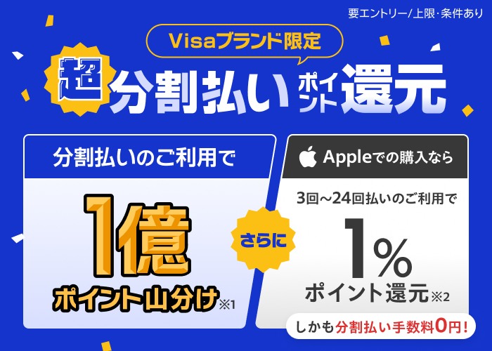 Visaブランド限定】超分割払いポイント還元｜楽天カード