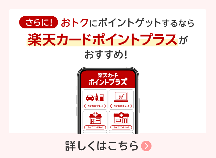 Visaブランド限定】分割払いご利用で1億ポイントもれなく山分け