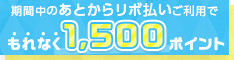 期間中のあとからリボ払いご利用でもれなく1,500ポイント