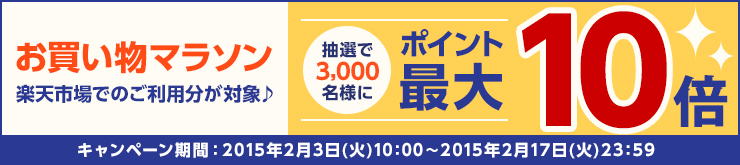 マラソンでポイント最大44.5倍】東洋印刷 ナナラベル A4判 シンプル