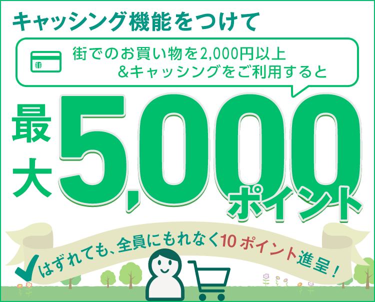 楽天e Navi キャッシング機能をつけて 街でのお買い物を2 000円以上ご利用すると 最大5 000ポイント